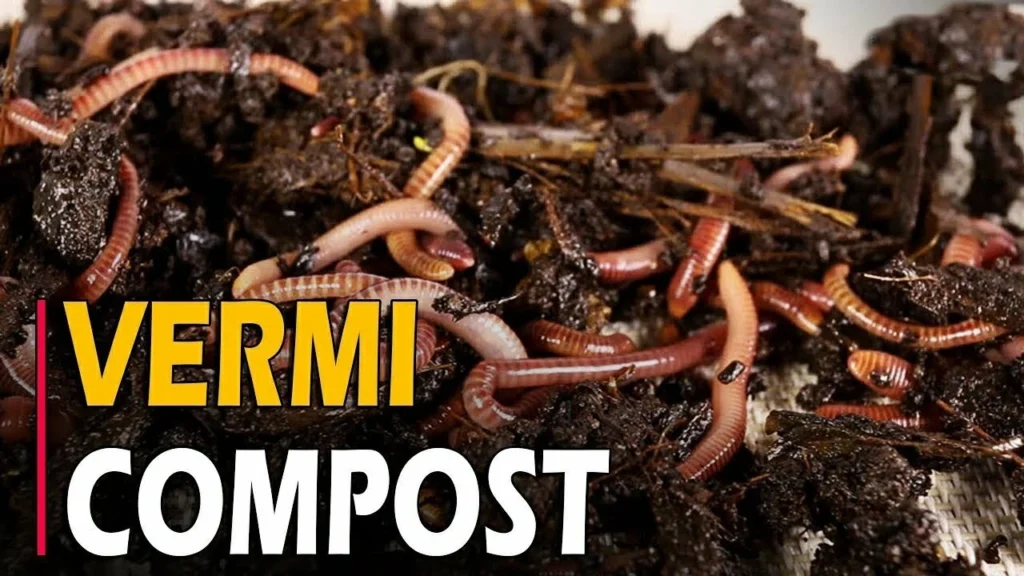 Vermicompost Unit से अब होगी मोटी कमाई